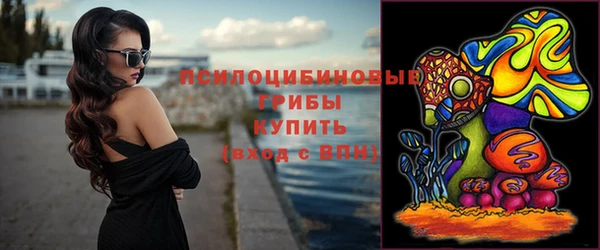 ешки Алзамай