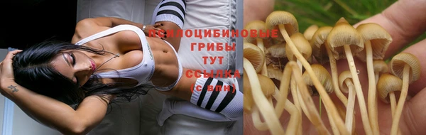 ешки Алзамай