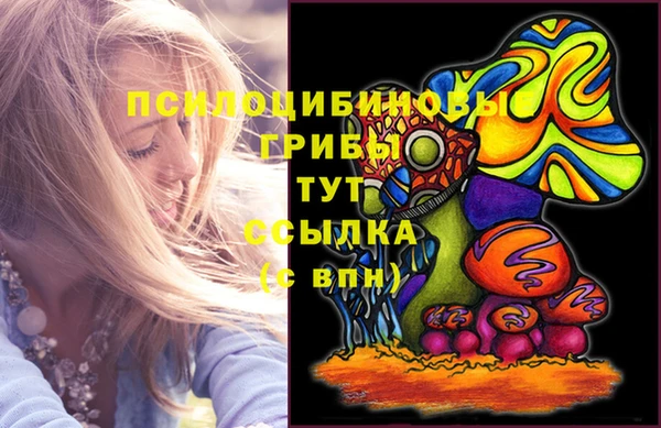 первитин Алексеевка