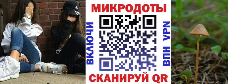 Псилоцибиновые грибы мицелий  darknet формула  Лахденпохья 
